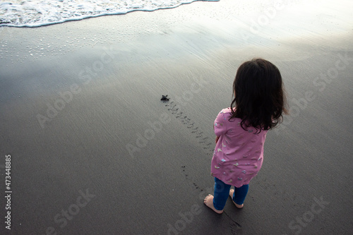 Be Free turtle footprints