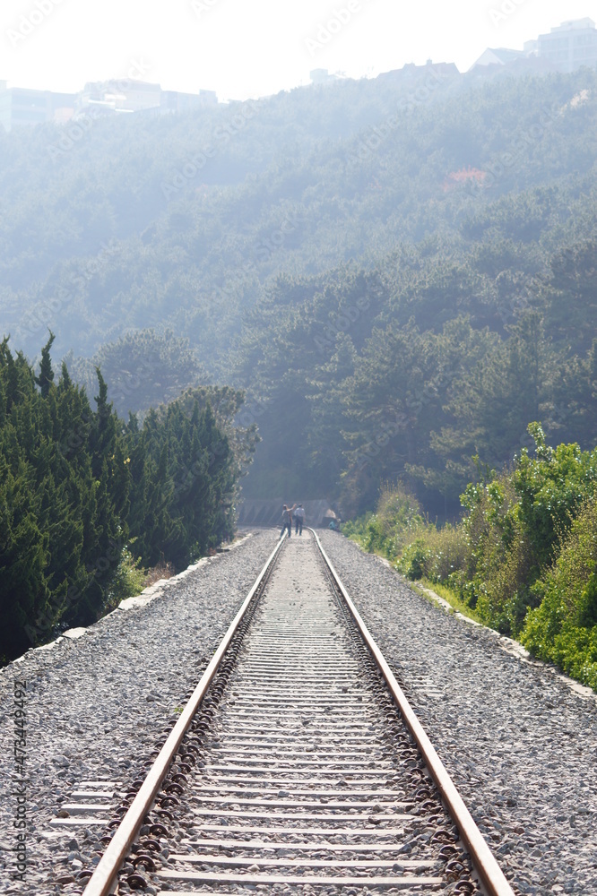 Fototapeta premium 철길, 철도, 해안선, 기차, 기찻길, 동부선, 여행, 간이역,