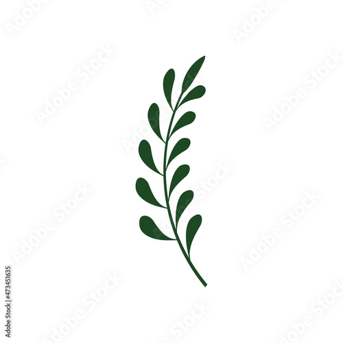 leaf branch graphic design template vector