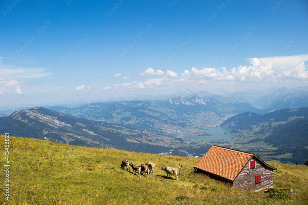 Obraz premium 여행지 풍경