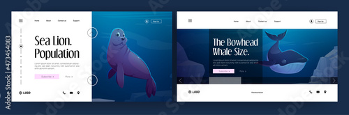 Marine animals banner. Sea lion population and bowhead whale size landing pages. Vector website of ocean mammals with cartoon illustration of seal and whale swim underwater photo