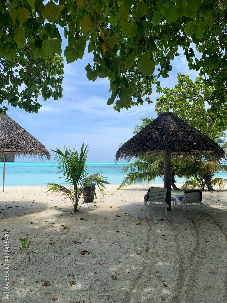 A view from under the branches of a tree to the coast of the Indian Ocean with white sand, azure water and deck chairs under sun umbrellas in the Maldives