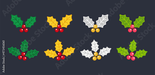 Christmas Holly Berry set vector isolated