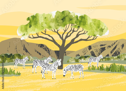 Africa. Savanna landscape with zebras. Reserves and national parks outdoor. Bright hand draw vector Illustration with animals, mountains, acacia tree, grass, bushes