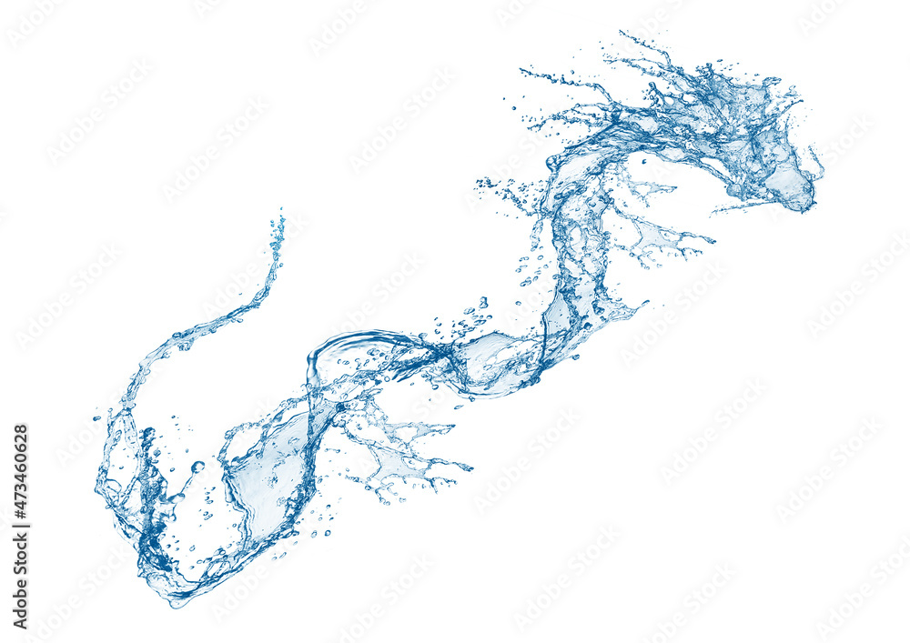 水龍のイラスト 水龍のイラスト