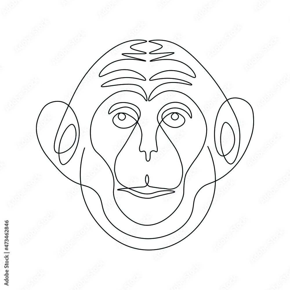 Chimpanzee face line drawing vector. Animal one line art. Flat design. Isolated icon. Unstoppable line drawing. Linear artwork element.
Chimpanzee face line drawing vector. Animal one line art. Flat design. Isolated icon. Unstoppable line drawing. Linear artwork element.