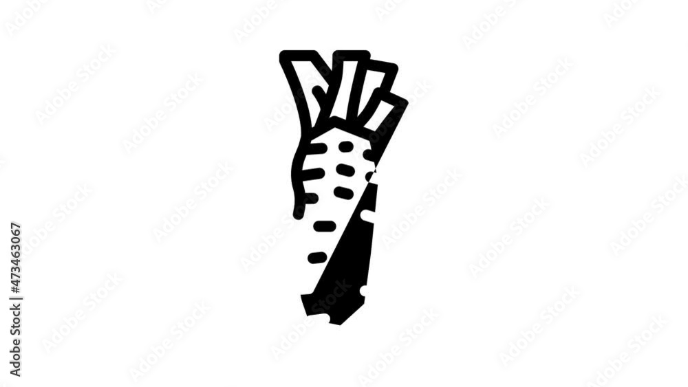 vegetable plant wasabi animated line icon vegetable plant wasabi sign. isolated on white background vegetable plant wasabi animated line icon vegetable plant wasabi sign. isolated on white background
