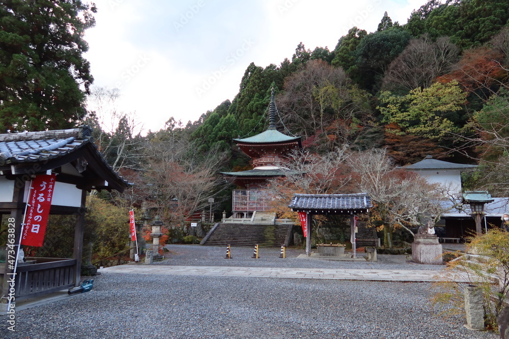 Fotografia do Stock: Tahou-tou Tower and Chouzu-ya Hut in the precincts ...