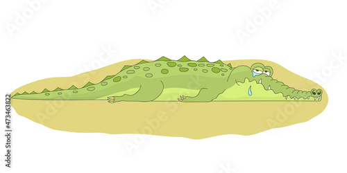Sad crocodile with tears, cry, sobbing. Vector illustration.