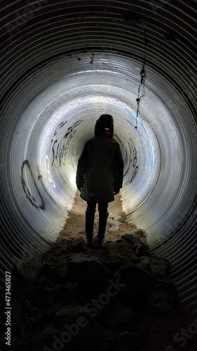 A creature in the tunnel