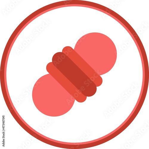 Rope Flat Circle Vector Icon Design photo