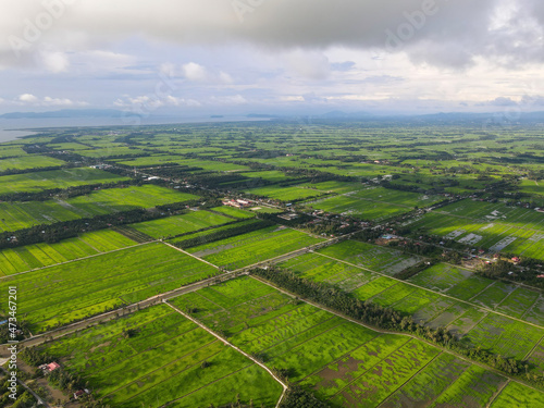 Fototapeta Naklejka Na Ścianę i Meble -  Aerial view green natural landscape of paddy field
