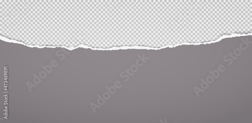 Oblong dark grey paper with torn edges and soft shadow is on squared background. Vector illustration