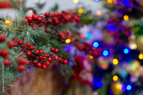 sprigs of a Christmas tree with red berries and a burning garland