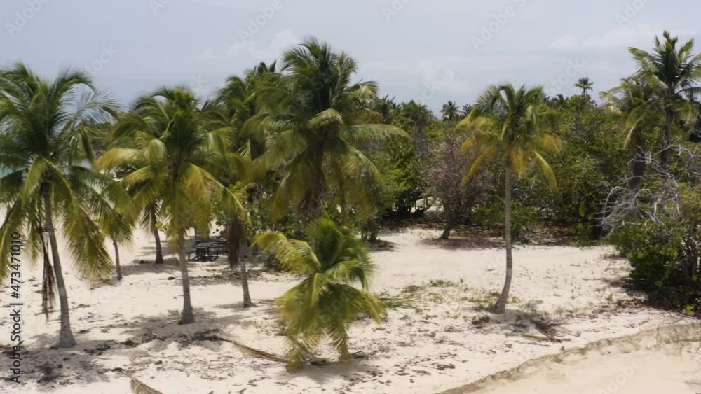 AERIAL - Pristine white sand beach, Cayo Lobos, Fajardo, Puerto Rico, truck left AERIAL - Pristine white sand beach, Cayo Lobos, Fajardo, Puerto Rico, truck left