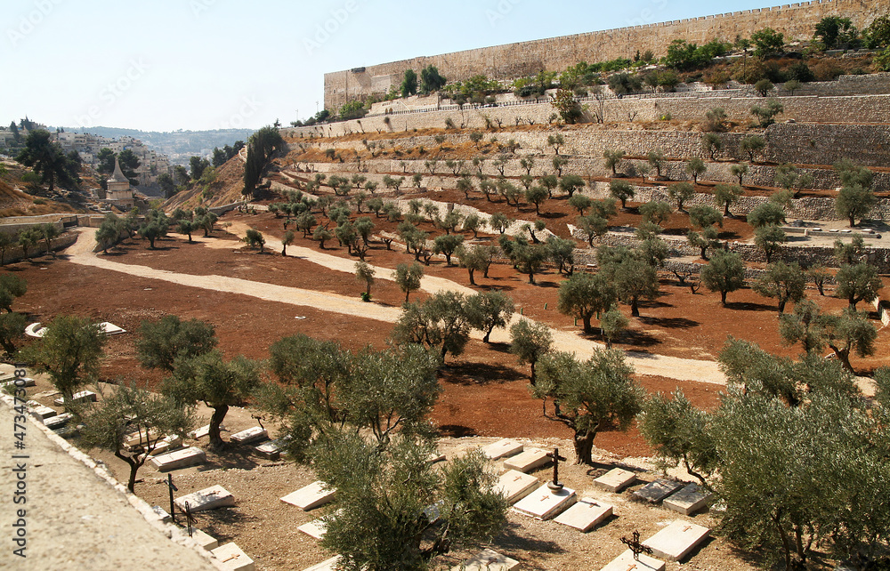  View of the walls of the Old City of Jerusalem and the Christian cemetery in front of it.