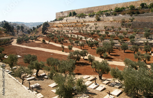  View of the walls of the Old City of Jerusalem and the Christian cemetery in front of it.