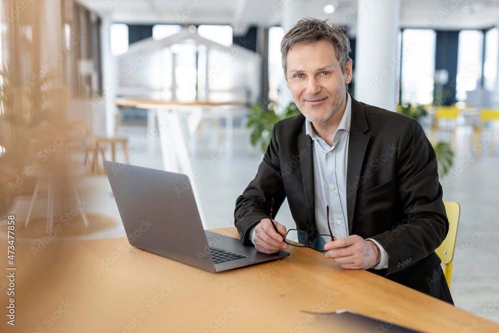 Smiling businessman with laptop sitting at office Smiling businessman with laptop sitting at office