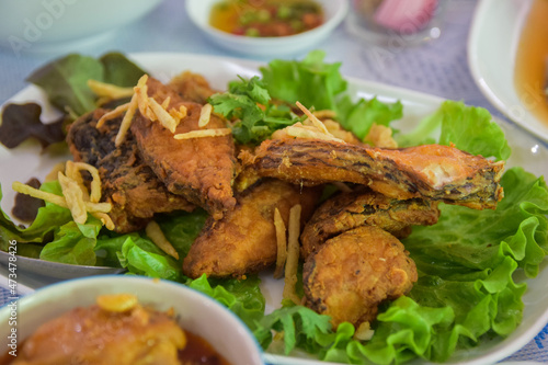 Crispy fried tilapia slices placed in a white plate. Select the focus and blur according to the lens character.