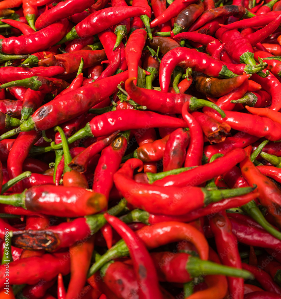 Czerwona papryka Chili, piękne naturalne tło gastronomiczne.