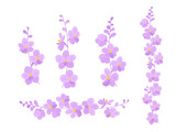 Set with flower sprigs on a white background. Delicate orchid flowers (Vascostylis) for your elegant design of cards, greetings, invitations and the like. Flat cartoon vector illustration.