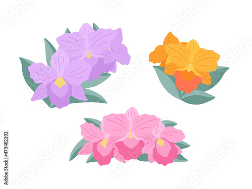 Orchid flowers (Brassolaeliocattleya) on a white background, flat illustration. A set of simple small delicate bouquets for your design. Flat cartoon vector illustration.