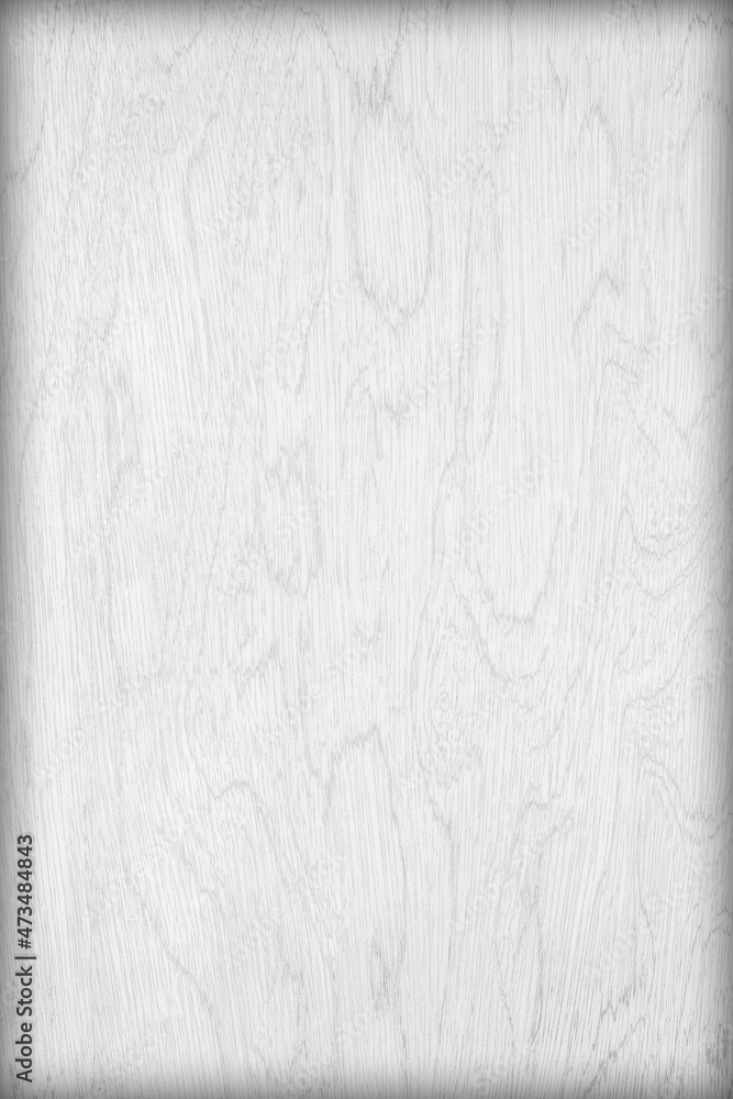 Fototapeta premium White plywood texture with natural wood pattern; White plywood texture for background