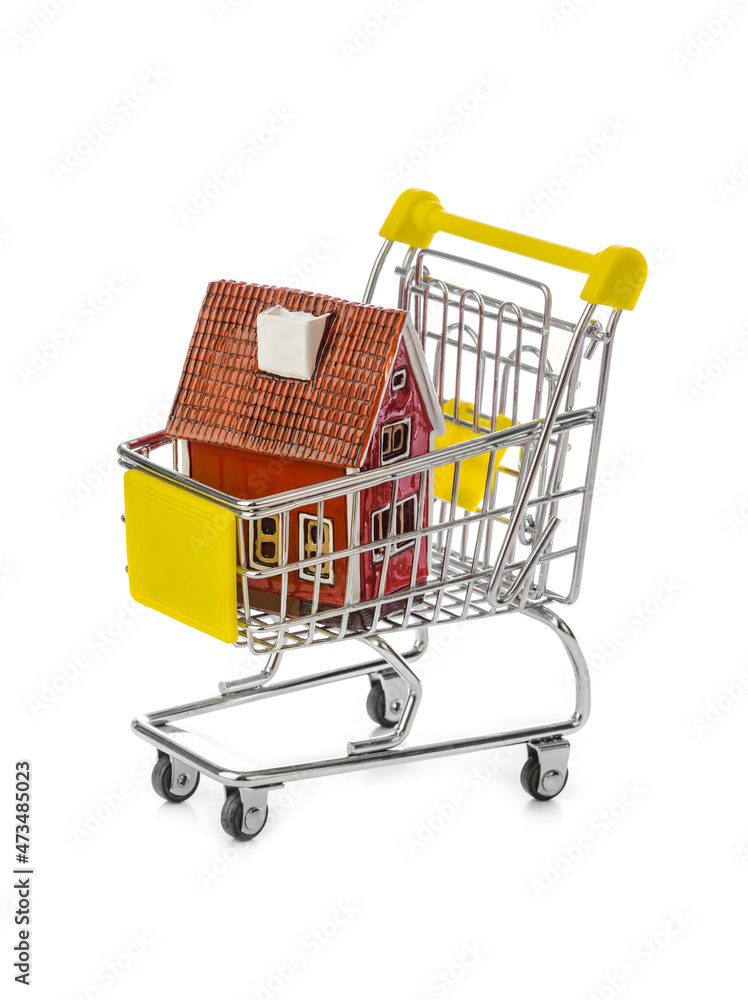 Toy house in shopping cart