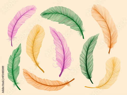 Feather hand drawn sketch realism style. Tribal native american. Boho ethnic decoration.