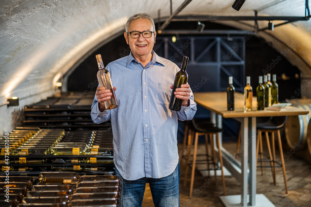 Portrait of happy senior man who owns winery. He is holding two bottles of wine in his wine cellar. Industry wine making concept.