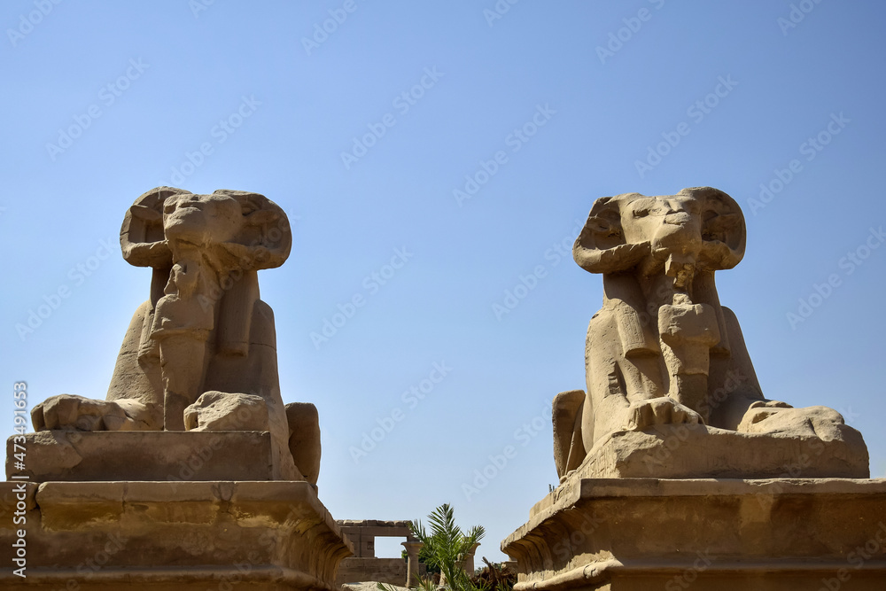 Two sheep-headed sphinxes of Small Alley in front of Karnak Temple against clear sky. Bottom view. Close-up. Famous Egyptian landmark with hieroglyphics and decayed temples. Two sheep-headed sphinxes of Small Alley in front of Karnak Temple against clear sky. Bottom view. Close-up. Famous Egyptian landmark with hieroglyphics and decayed temples.