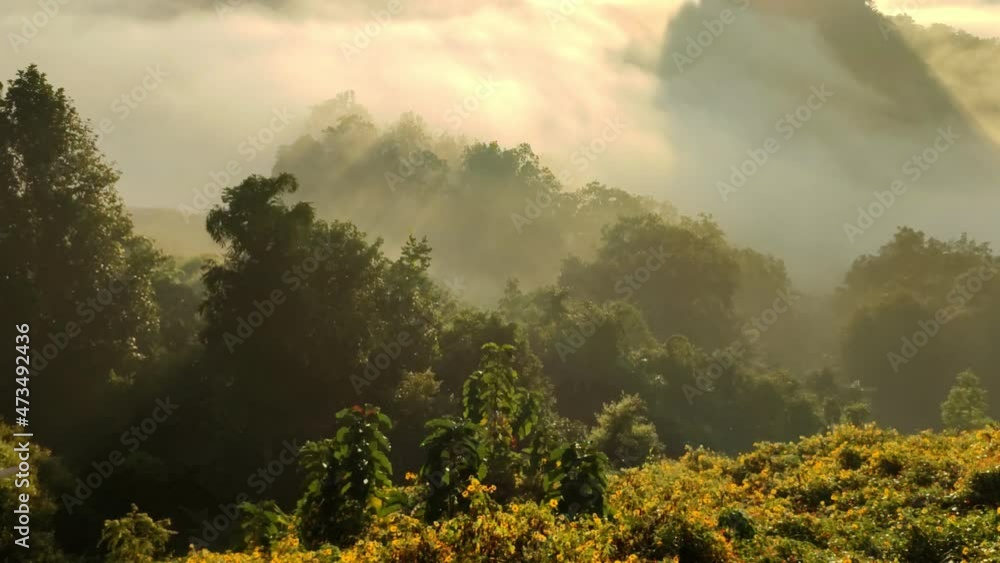 Time lapse video, Morning mist at Baan Jabo viewpoint, the most favourite place for tourist in Mae Hong Son,Thailand Time lapse video, Morning mist at Baan Jabo viewpoint, the most favourite place for tourist in Mae Hong Son,Thailand