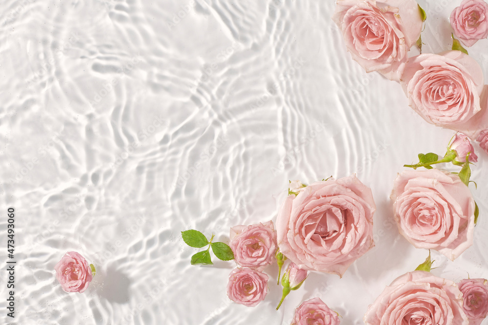 Flower composition with pink roses in water on white background, top view, copy space. Minimal flat lay nature. Summer or spring idea.