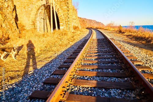 Circum Baikal railway running along the shore of Lake Baikal on an autumn sunny day with a yellow landscape around