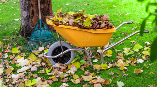 Fényképezés wheelbarrow and rake for collecting leaves