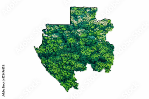 Green Forest Map of Gabon photo