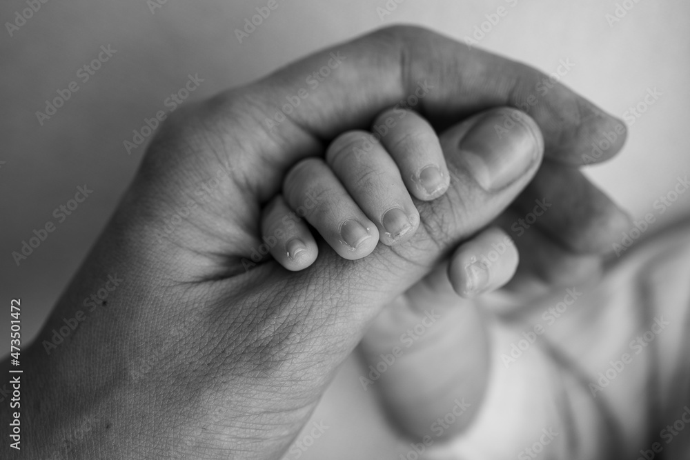 The newborn baby has a firm grip on the parent's finger after birth. Close-up little hand of child and palm of mother and father. Parenting, childcare and healthcare concept. Black and white photo. The newborn baby has a firm grip on the parent's finger after birth. Close-up little hand of child and palm of mother and father. Parenting, childcare and healthcare concept. Black and white photo.