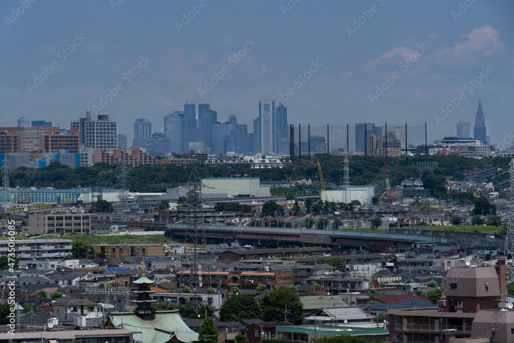 view of Tokyo from hill
