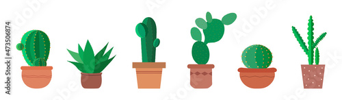 Set of different types cactus on white background. Variety vector cactus in flat style.