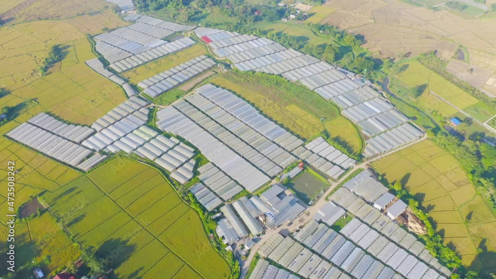 Aerial top view of roof of garden plant industry farm in agriculture concept with paddy rice field. Hydroponic natural food. Crops. Nature landscape background. Aerial top view of roof of garden plant industry farm in agriculture concept with paddy rice field. Hydroponic natural food. Crops. Nature landscape background.