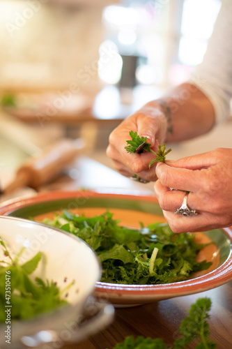 Salat aus frischen Wildkräutern