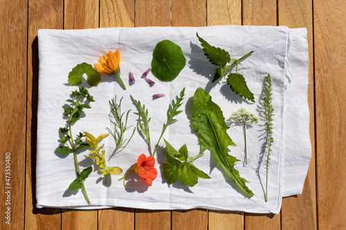 Salat aus frischen Wildkräutern