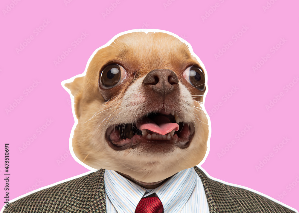 custom made wallpaper toronto digitalArt business man with dog head. Portrait of trendy magazine style