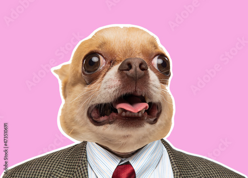 Art business man with dog head. Portrait of trendy magazine style photo