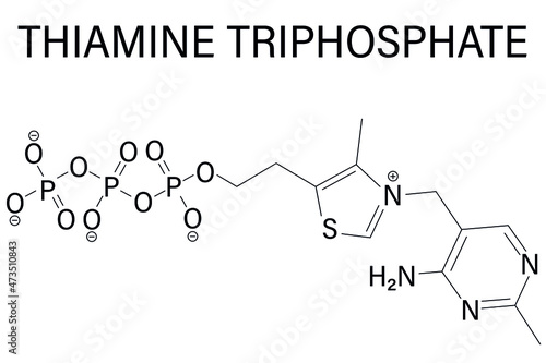 Thiamine triphosphate molecule. Skeletal formula. Chemical structure