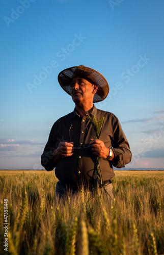 Senior farmer standing in wheat field examining crop at sunset.