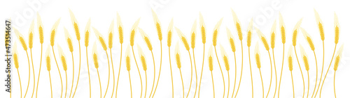Wheat field. Agriculture cereal harvest. Dry grass. Vector illustration.