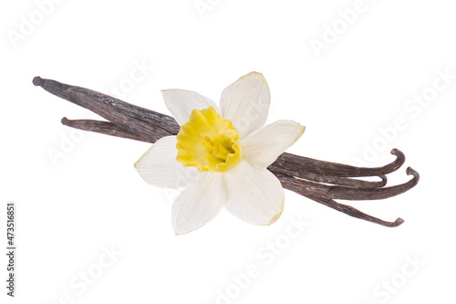 heap of vanilla pods  with flower isolated