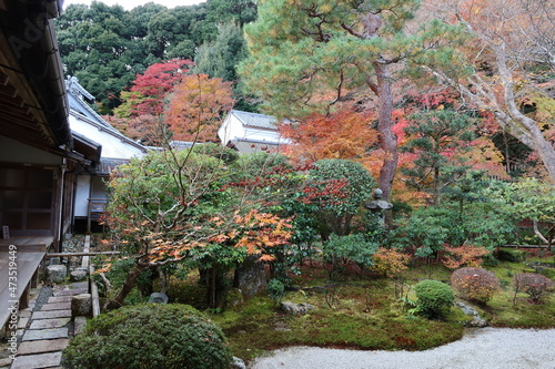 Misono-tei Garden and tea House,  and autumn leaves in the precincts of Nison-in Temple at Saga in Kyoto City in Japan 日本の京都市嵯峨にある二尊院境内の御園亭と紅葉