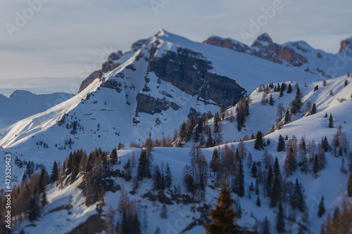 Tilt shift effect of trees near Corvo Alto peak in winter conditions. Fiorentina Valley, Dolomites, Italy © Gianluca